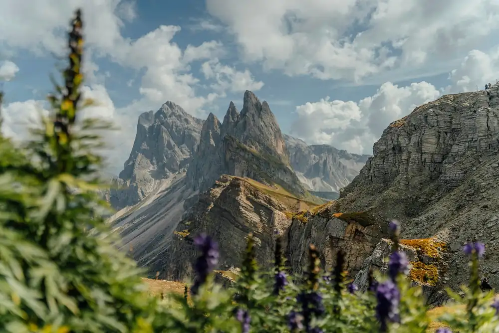 Jagged peaks and green meadows in the Dolomites, Italy