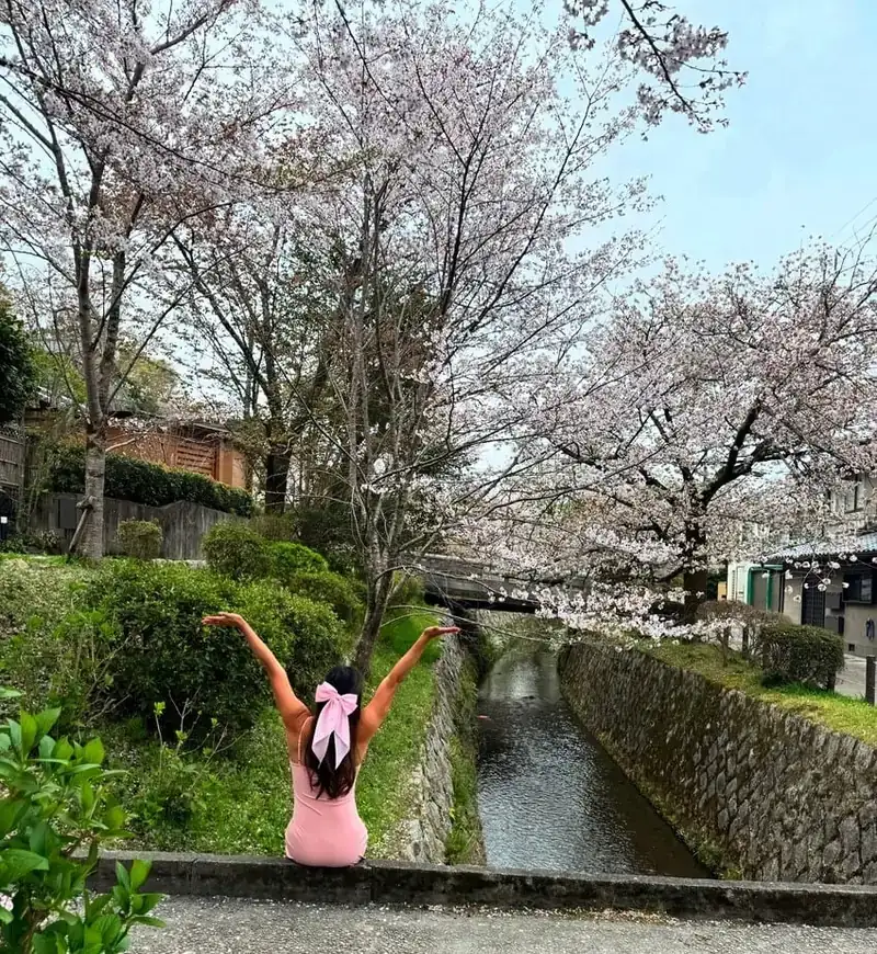 Cherry blossoms lining a canal in Japan on a trip photographed by Vania